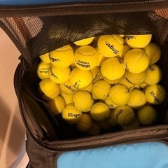 SlingerBug スリンガーバッグ