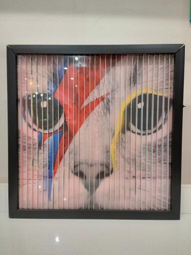 ★【KARE】 カレ 猫 Picture Frame Art 3D Idol Cat  だまし絵  廃盤【18,700円で購入】［43Ｘ43cm］店頭販売のみ