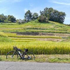 ロードバイク仲間募集