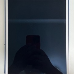 iPad pro 10.5インチ 256GB セルラーモデル　第...