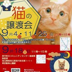 とらちゃん本舗　保護猫譲渡会inさいたま市

