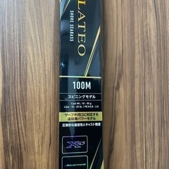 美品 ダイワラテオR100M スピニングロッド シーバス　ヒラメ　サーフ