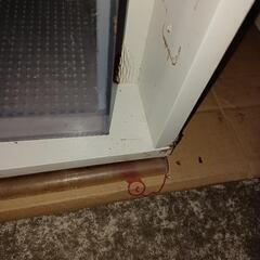 宮城仙台！レッドシーオルカT45