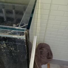 宮城仙台！レッドシーオルカT45