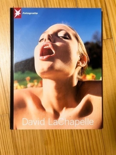 その他 David LaChapelle