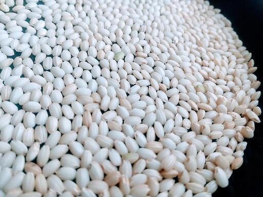 新米 残り僅か  令和4年 マンゲツモチ 玄米30kg　美味保証　一軒の農家生産 残3袋 新米 令和4年 マンゲツモチ 玄米30kg 餅米 もち米 農家