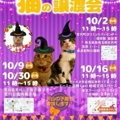 ◆とらちゃん本舗
保護猫譲渡会 in宮代町