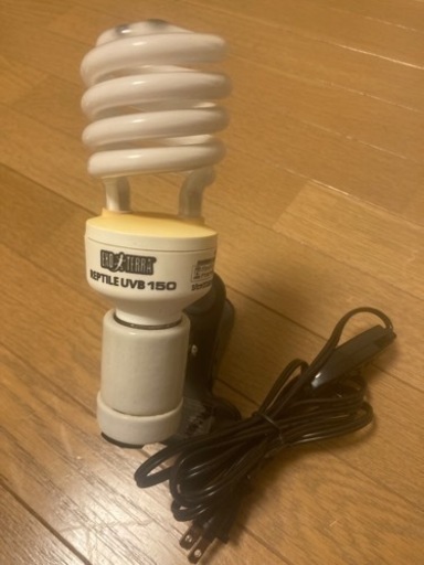 爬虫類用品