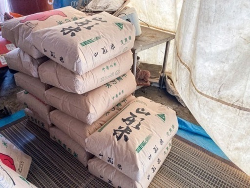 【新米】千葉県佐倉市産コシヒカリ30kg
