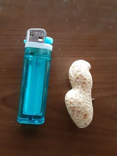 茹で落花生 おおまさりの生10K❗