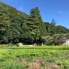 移住定住相談　岡山県井原市　ブルブルカフェの画像