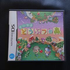  ニンテンドーDSソフト★おいでよ どうぶつの森