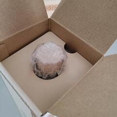 森伊蔵 720ml 7本セット(新品)