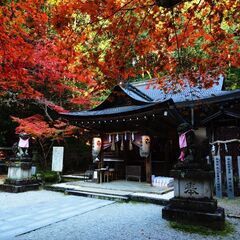 カメラ友達募集📷（大阪・奈良）