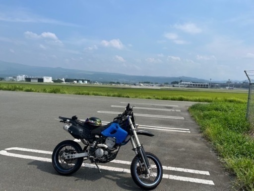 Ｄトラッカー250