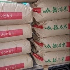 令和４年　新米コシヒカリ　くず米　能登産　25キロ　　　￥1200円