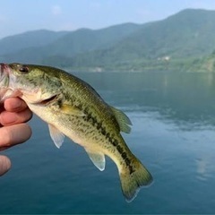 バス釣りメン募❗️