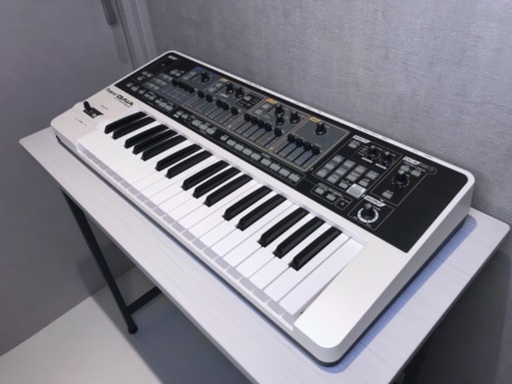 Roland GAIA SH-01 ソフトケース付き 動作確認済み