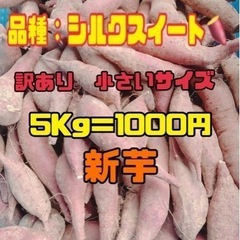 《訳あり》小さいシルクスイート！！5Kg 1000円