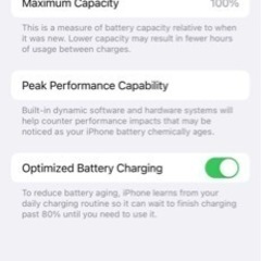 iPhone 13 Pro 256GB アメリカ版 交換未使用品 シエラブルー シャッター無音 ミリ波対応