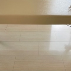 Takada カイロベッド 温熱シート