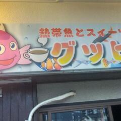 グッピーカフェです。 − 神奈川県