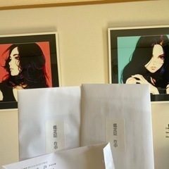 メガバス KEEP CAST限定生産 POP MAX POPX イヌワシ-イリヤクブシノブ