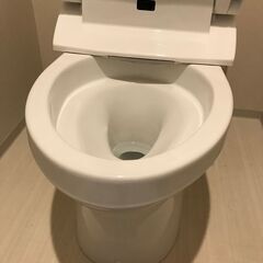 【プロの大掃除】【トイレ清掃】【6,500円税込】【格安価格挑戦...