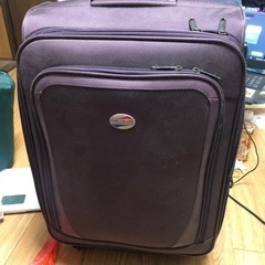 60Lのスーツケース
