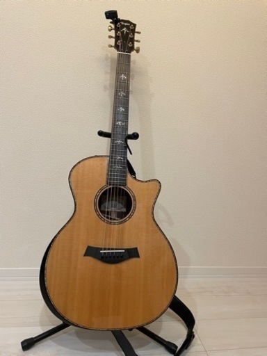 テイラー　エレアコ　Taylor 914ce