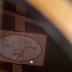 テイラー　エレアコ　Taylor 914ce