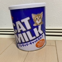 猫 ミルク キャットミルク