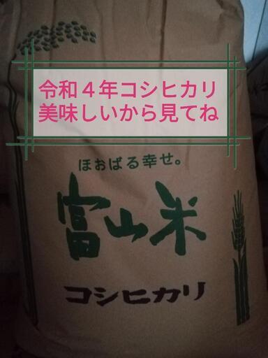 ☆買ってください☆令和4年南砺市産コシヒカリ玄米30kg ☆買ってください☆令和4年南砺市産コシヒカリ玄米30kg