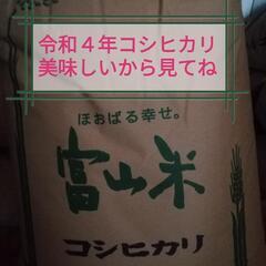 ★買ってください★令和４年南砺市産コシヒカリ玄米30kg 