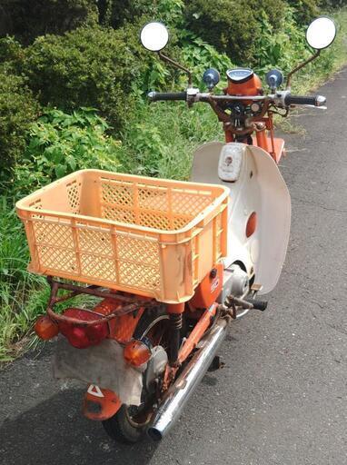 MD50 郵政カブ (1730) | tintasmarfim.com.br