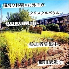 稲刈り体験✴︎お外ヨガ✴︎クリスタルボウル