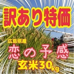 【訳あり特価】💮令和3年度米 『❤️恋の予感』🌾玄米30kg 🍁...