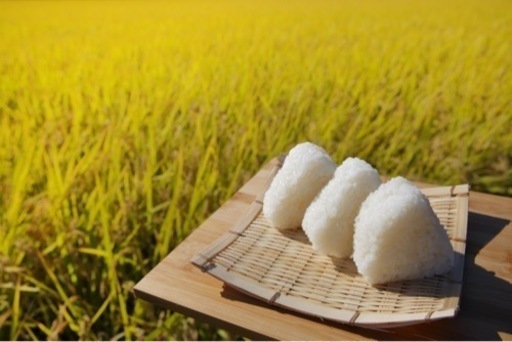 ☆新米夢つくし☆玄米30キロ 令和4年産 精米無料サービス 福岡