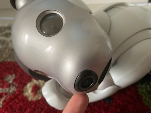 ソニー aibo本体(ERS-1000) 動作確認済 備品完備 おもちゃ付属 ソニー aibo本体(ERS-1000) 動作確認済 備品完備 おもちゃ付属