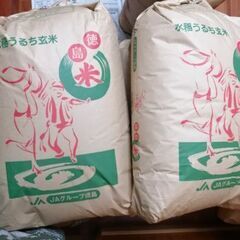 新米　令和4年産コシヒカリ　玄米30kg