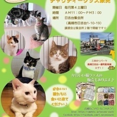 【高槻市日吉台】保護猫譲渡会 9月24日（土）