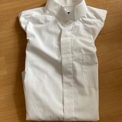 結婚式用ウイングカラードレスシャツ(41-84)
