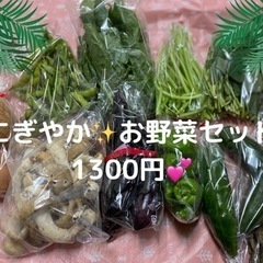 にぎやか野菜セット🍓🥦1300円