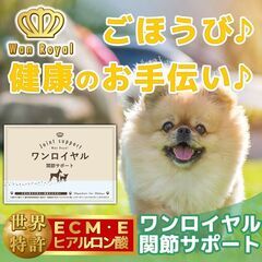 3ケースまとめ売り(48個) ドッグフード にかけるだけ♪【世界9か国