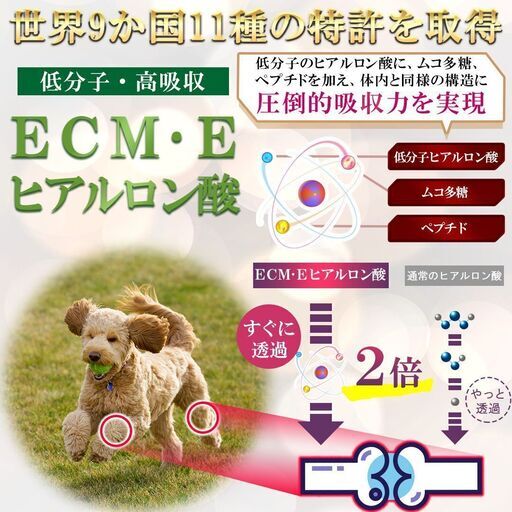 3ケースまとめ売り(48個) ドッグフード にかけるだけ♪【世界9か国