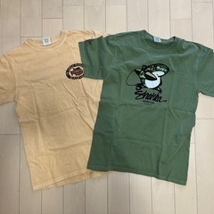 ハワイ土産のTシャツ2枚