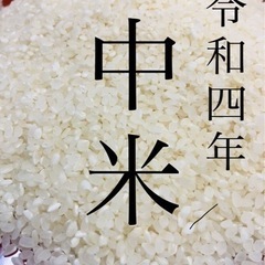 ※中米※令和4年度 魚沼産コシヒカリ　中米　玄米です。