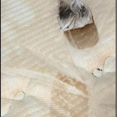 【9/25引き取り限定値下げ中！】ダブルベッドフレームとマットレスセット