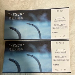 マリンワールド海の中道　大人２枚　セット売り