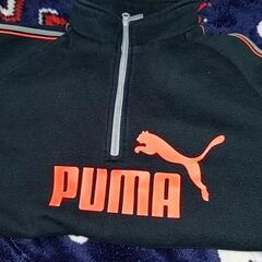 PUMA